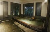 Туры в отель HAKONE saryo KINTOKI