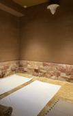 Туры в отель HAKONE saryo KINTOKI