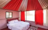 Туры в отель Milky Way Nights Camp