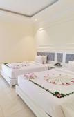 Туры в отель Nature Hotel - Pham Hong Thai