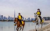 Туры в отель Urban Panda Beach Hostel JBR