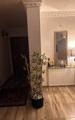 Туры в отель STARMAX CITY HOTEL'S YALOVA