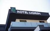 Туры в отель Lignum Hotel