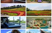 Туры в отель Luxurious Modern Villa at Vimala Hills