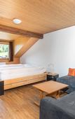 Туры в отель Hotel Furka