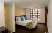 Туры в отель Hotel Castellana 95
