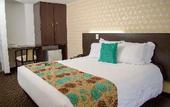 Туры в отель Hotel Castellana 95