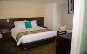 Туры в отель Hotel Castellana 95