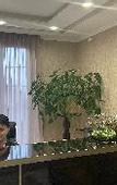 Туры в отель Astoria Hotel