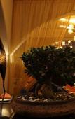 Туры в отель The Purple Leaf Hotels