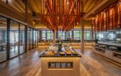 Туры в отель La Flora Resort & Spa