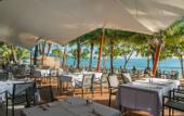 Туры в отель La Flora Resort & Spa