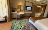 Туры в отель Wyndham Grand Udaipur Fateh Sagar Lake