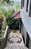 Туры в отель Calma Coliving at Jatiluwih, Bali