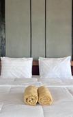 Туры в отель Calma Coliving at Jatiluwih, Bali