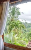 Туры в отель Calma Coliving at Jatiluwih, Bali