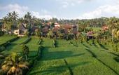 Туры в отель Wooden Ganeca Villas by GenuineHost