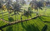 Туры в отель Wooden Ganeca Villas by GenuineHost