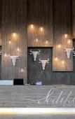 Туры в отель Palala Boutique Game Lodge and Spa