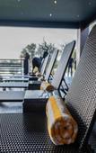 Туры в отель Palala Boutique Game Lodge and Spa