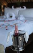 Туры в отель Palala Boutique Game Lodge and Spa