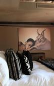 Туры в отель Palala Boutique Game Lodge and Spa