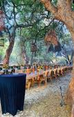 Туры в отель Palala Boutique Game Lodge and Spa