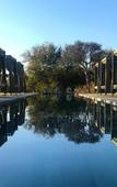 Туры в отель Palala Boutique Game Lodge and Spa