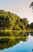 Туры в отель Palala Boutique Game Lodge and Spa