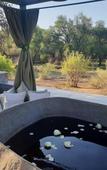 Туры в отель Palala Boutique Game Lodge and Spa