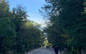 Туры в отель ARIS Premium Accommodation