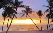 Туры в отель The Costis Homestay & Hotel