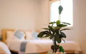 Туры в отель The Costis Homestay & Hotel