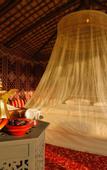 Туры в отель Al Marmoom Dome Luxury Desert Experiential Stay