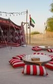 Туры в отель Al Marmoom Dome Luxury Desert Experiential Stay