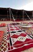 Туры в отель Al Marmoom Dome Luxury Desert Experiential Stay
