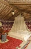 Туры в отель Al Marmoom Dome Luxury Desert Experiential Stay