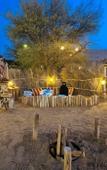 Туры в отель Al Marmoom Dome Luxury Desert Experiential Stay
