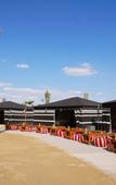 Туры в отель Al Marmoom Dome Luxury Desert Experiential Stay