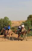 Туры в отель Al Marmoom Dome Luxury Desert Experiential Stay
