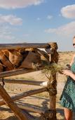 Туры в отель Al Marmoom Dome Luxury Desert Experiential Stay