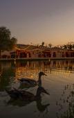 Туры в отель Al Marmoom Dome Luxury Desert Experiential Stay