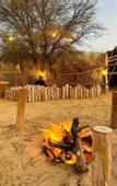 Туры в отель Al Marmoom Dome Luxury Desert Experiential Stay