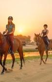 Туры в отель Al Marmoom Dome Luxury Desert Experiential Stay