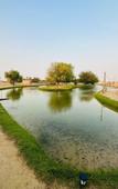 Туры в отель Al Marmoom Dome Luxury Desert Experiential Stay
