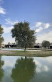 Туры в отель Al Marmoom Dome Luxury Desert Experiential Stay