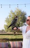 Туры в отель Al Marmoom Dome Luxury Desert Experiential Stay