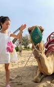 Туры в отель Al Marmoom Dome Luxury Desert Experiential Stay