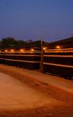 Туры в отель Al Marmoom Dome Luxury Desert Experiential Stay