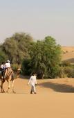 Туры в отель Al Marmoom Dome Luxury Desert Experiential Stay